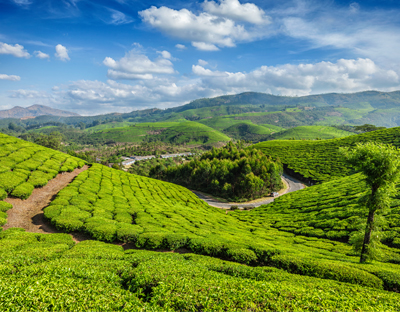 Kerala Family