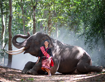 Kerala wildlife